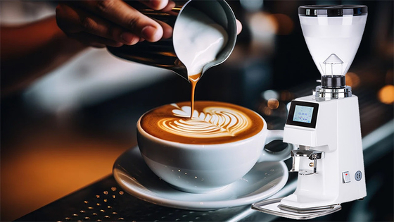 Capacité de 15 kg Moulin à café sans dose en acier inoxydable pour une productivité accrue