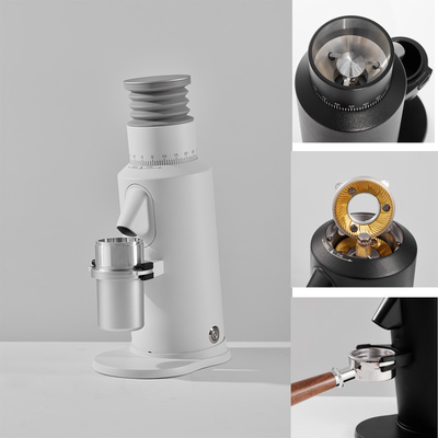 110V / 220V SSP Burr Coffee Grinder For Hotel garantie de 1 an