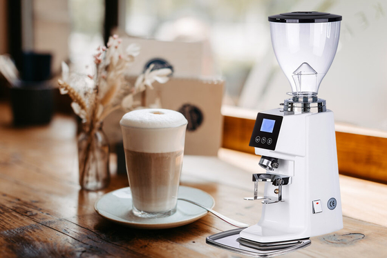 Moulin à café sans dosage de qualité commerciale en acier inoxydable 370W par Beanglass 110V