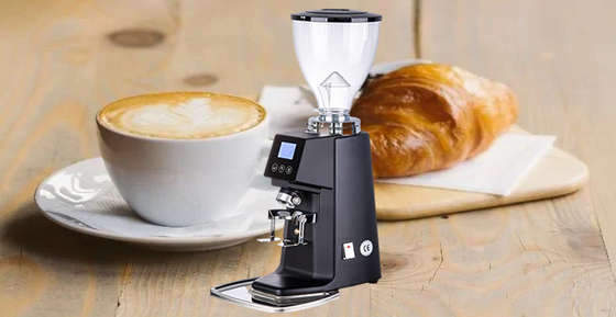 Moulin à café sans dose 220V en acier inoxydable avec contenant de poudre de café