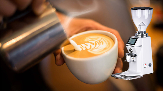 Moulin à café sans dosage en acier inoxydable 370W avec tension 110V-220V